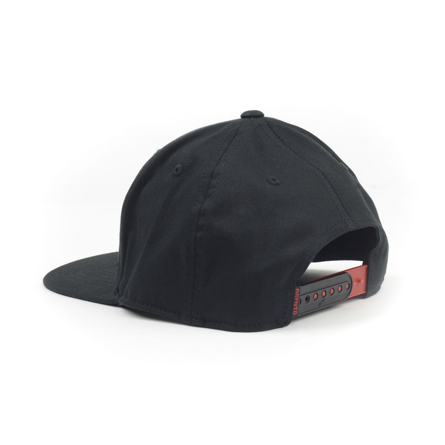 PAYNTR Brand X Cap (Black) - Back