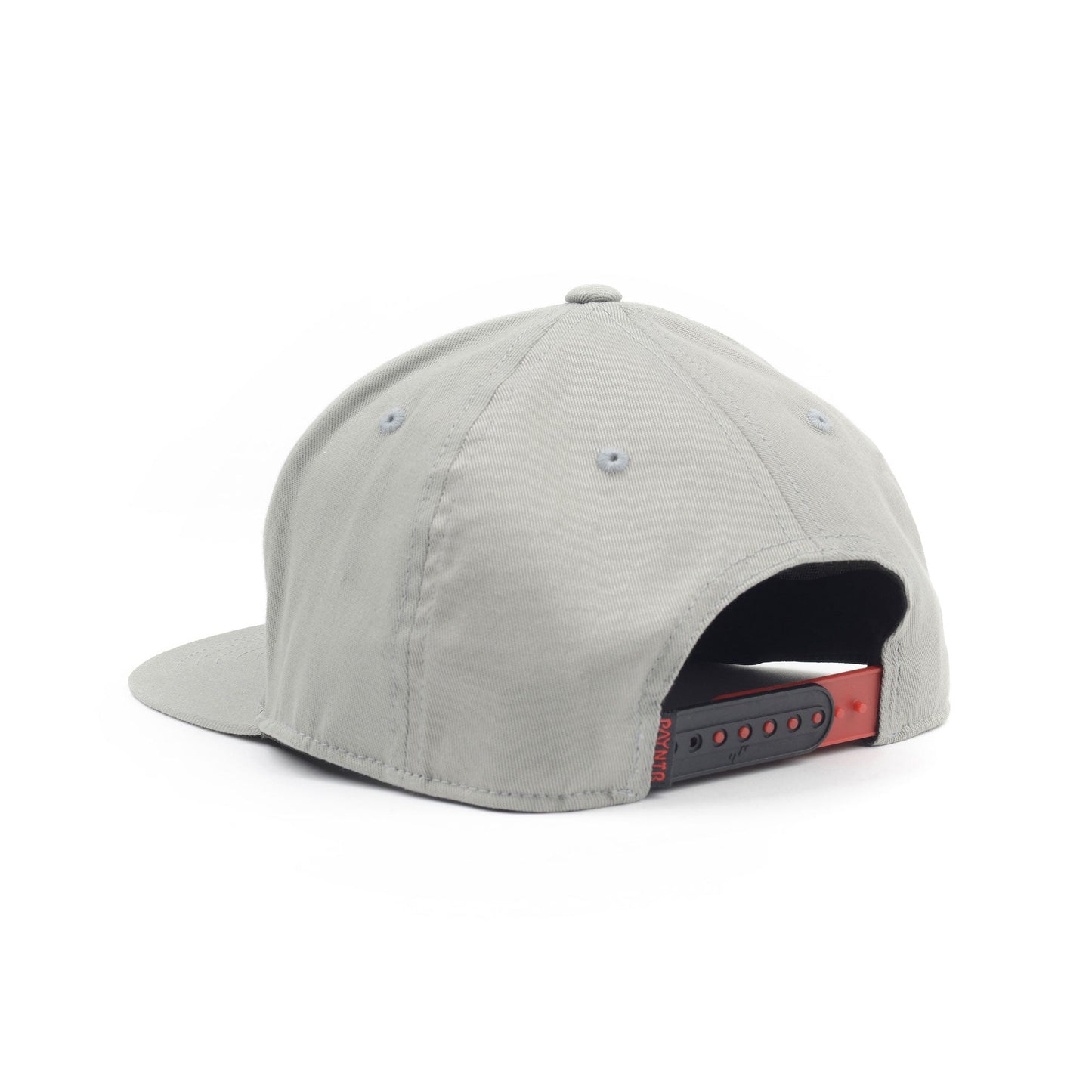 PAYNTR Brand X Cap (Grey) - Back
