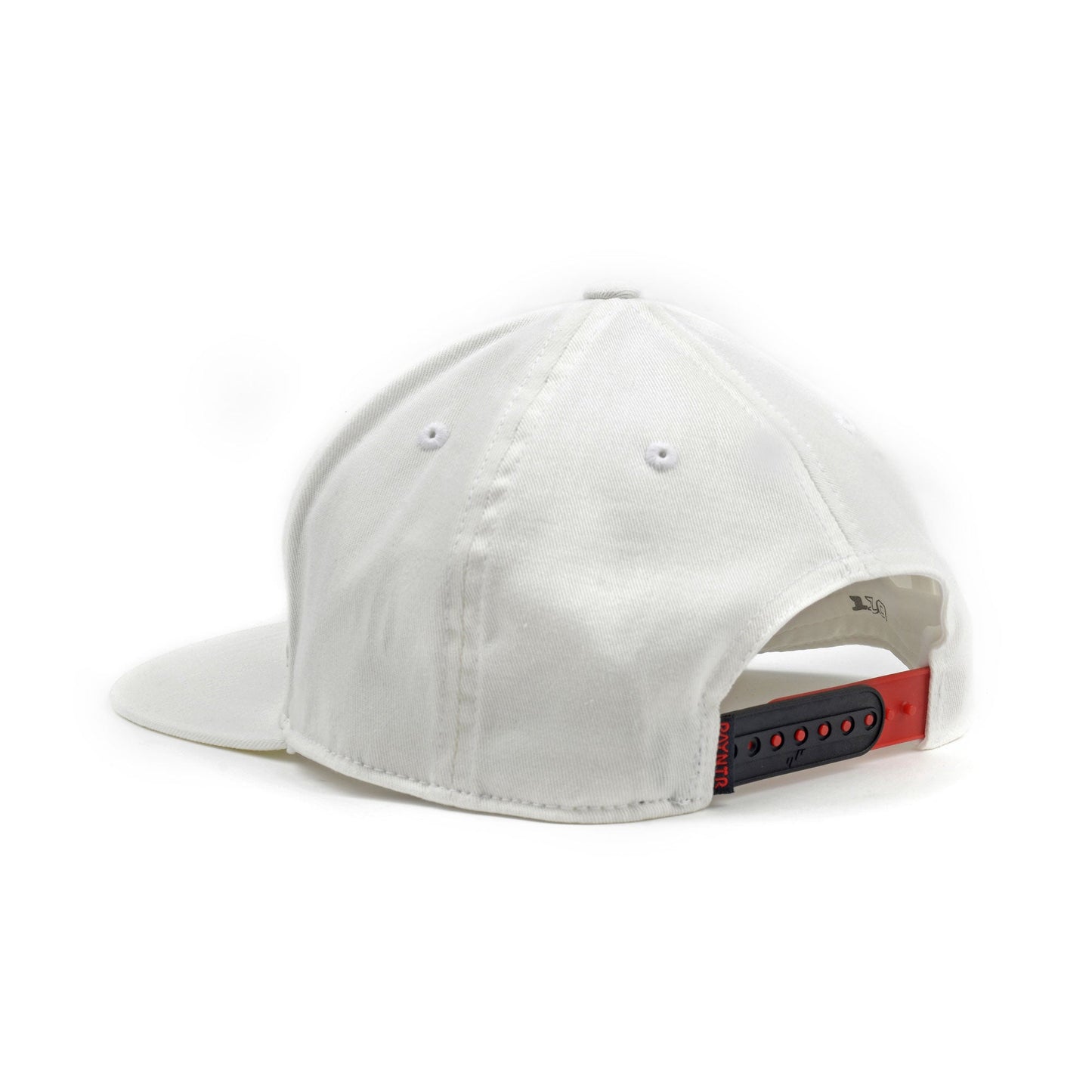 PAYNTR Brand X Cap (White) - Back
