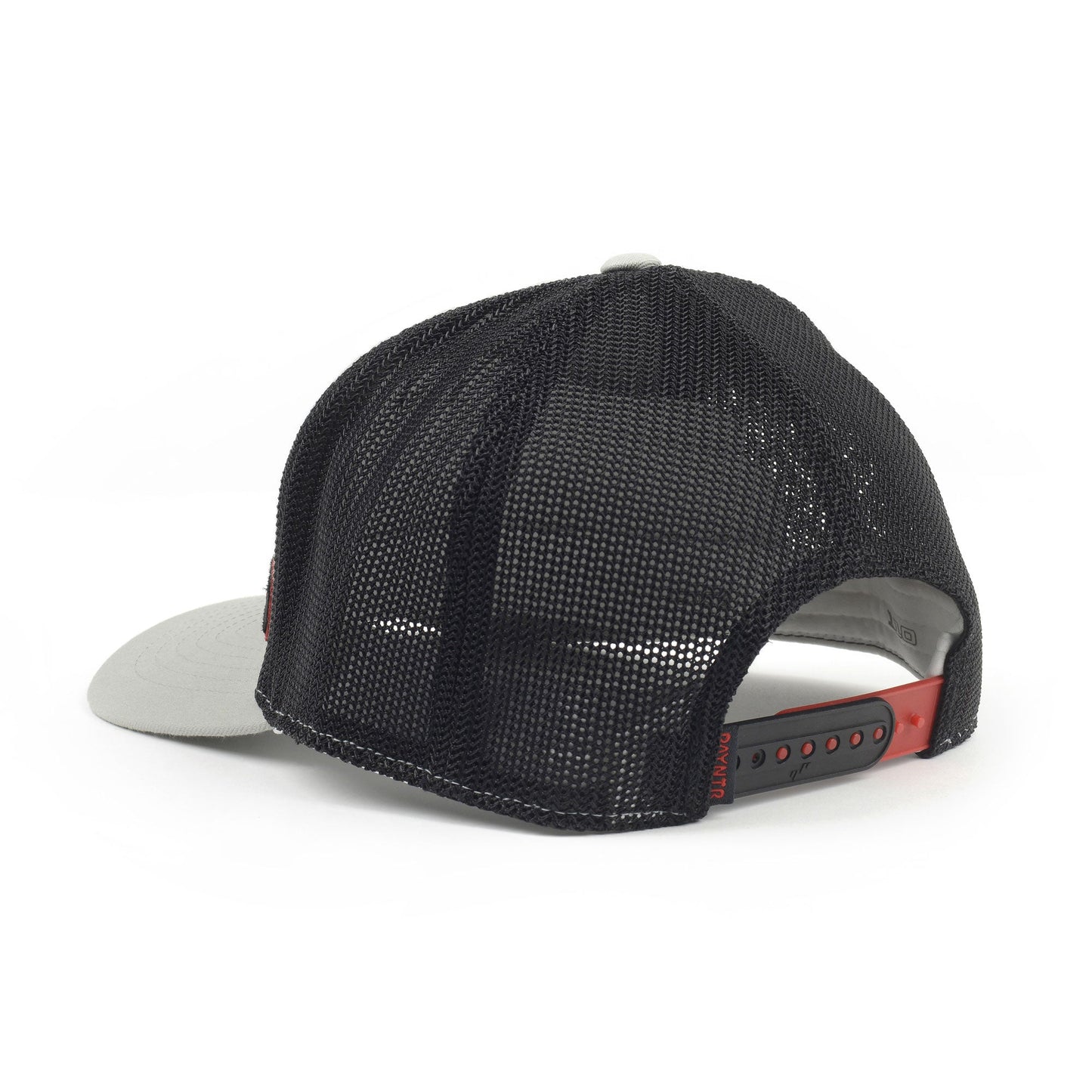 PAYNTR Patch X Cap (Grey) - Back