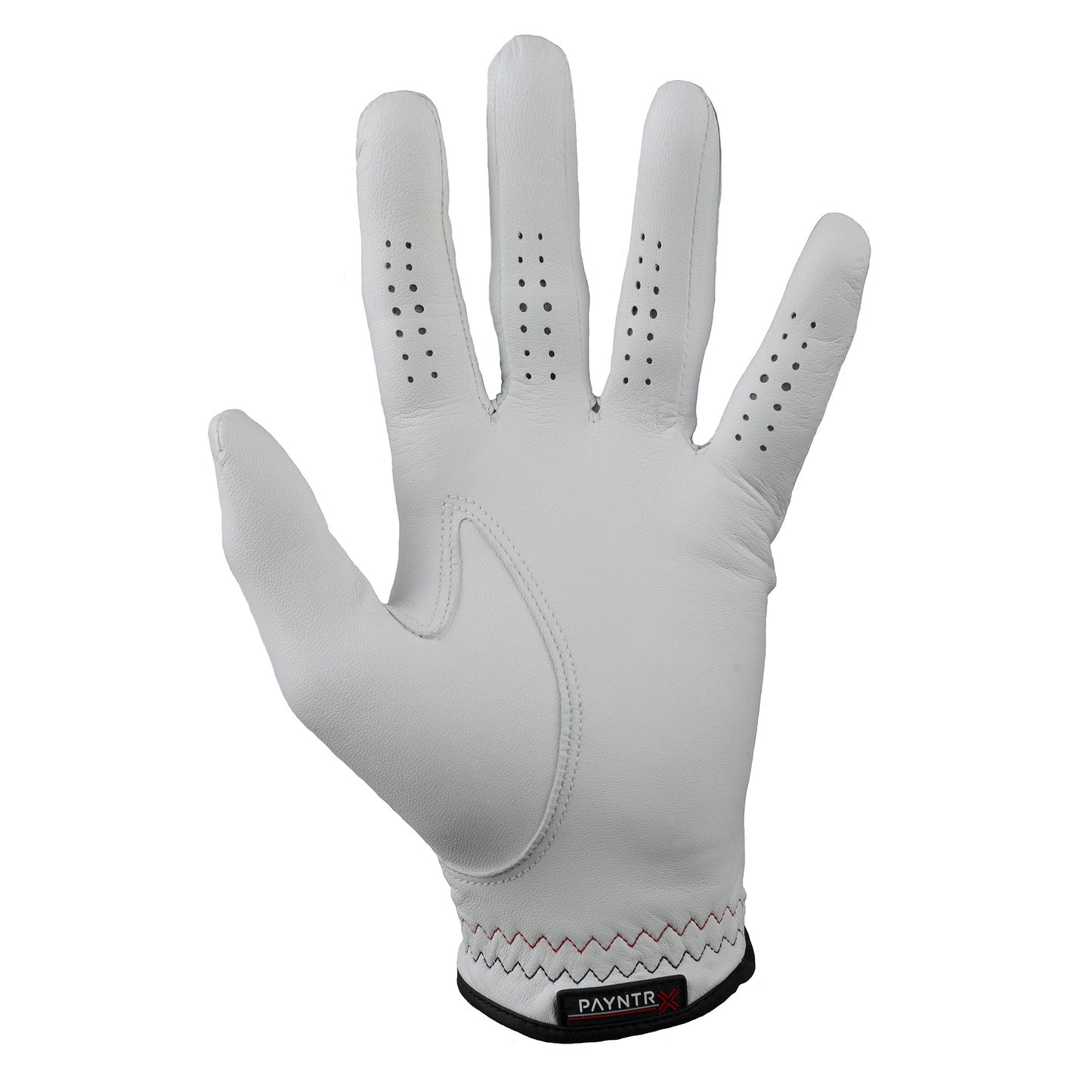PAYNTR X Golf Glove - LH Back