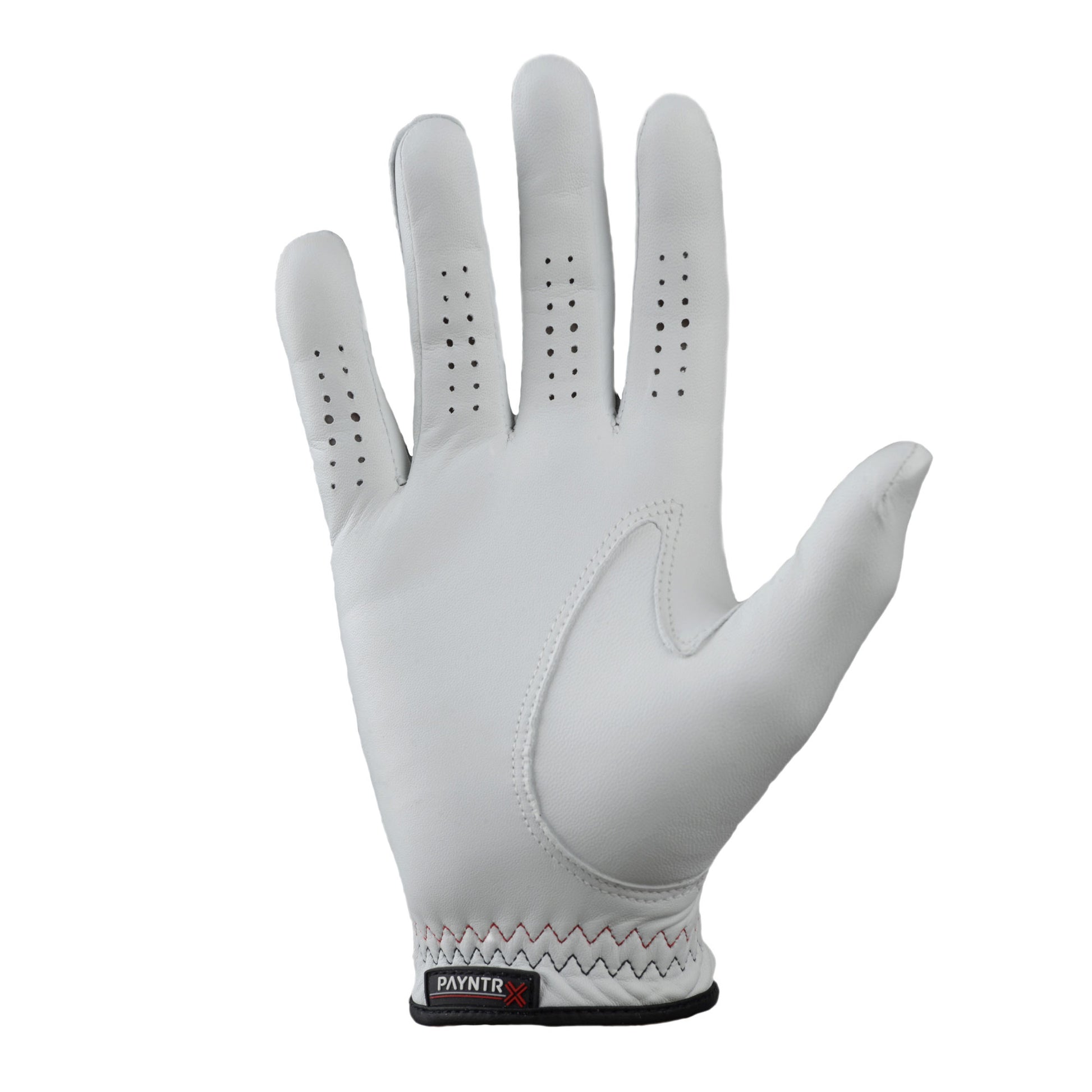 PAYNTR X Golf Glove - RH Back