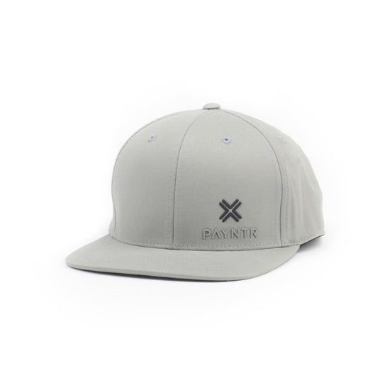 PAYNTR Brand X Cap (Grey) - Front